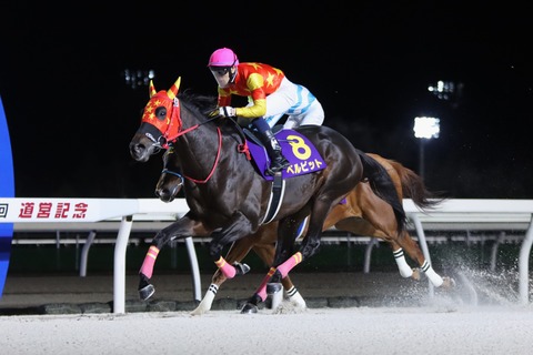 2024道営記念優勝馬・ベルピット