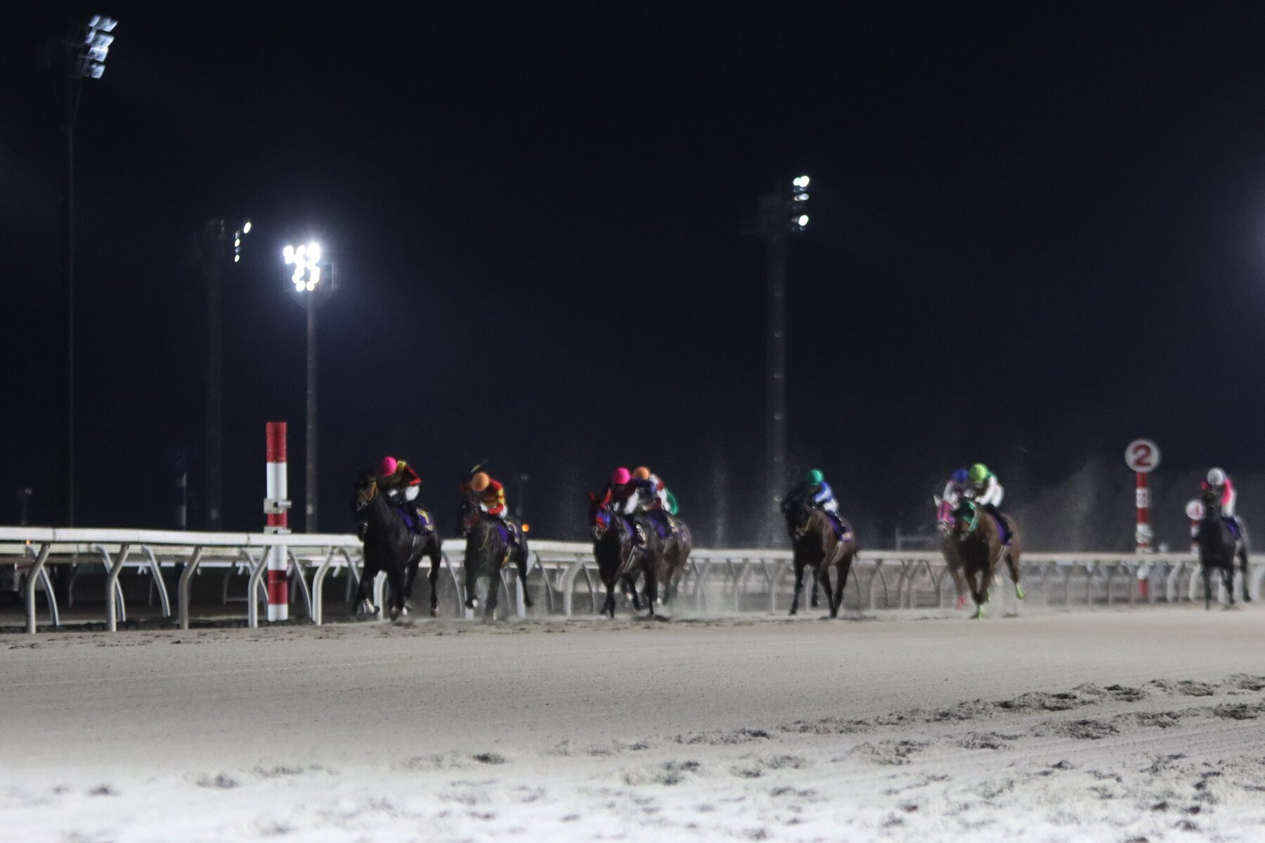 右馬淳史　 11/5メインレースレポート】⑨スペシャルエックス（牡5＝田中淳司厩舎