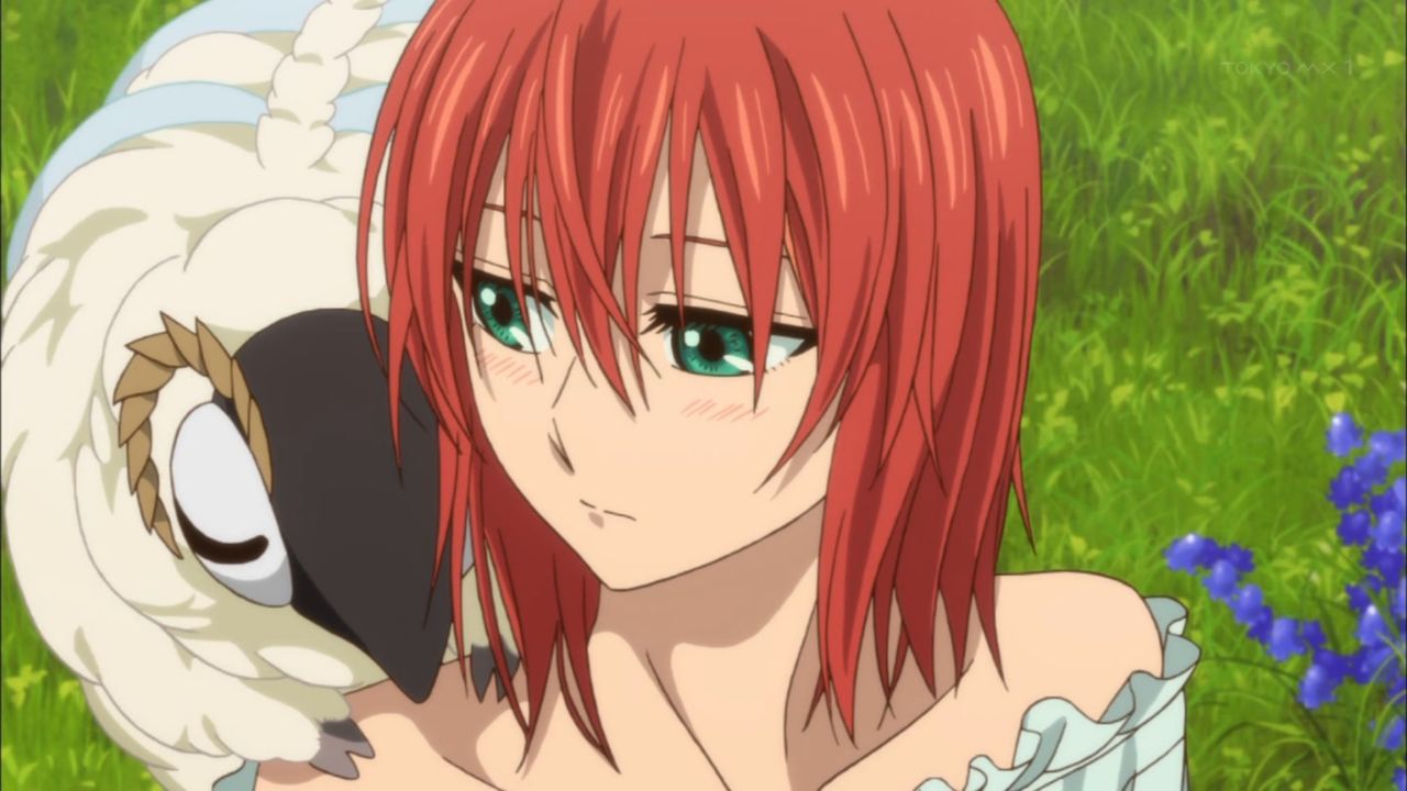 魔法使いの嫁 チセちゃんプロポーズをもうほとんど受け入れてますね さぶかる備忘録 魔法使いの嫁 チセちゃんプロポーズをもうほとんど受け入れてますね さぶかる備忘録