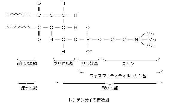 POホスファチジルコリン