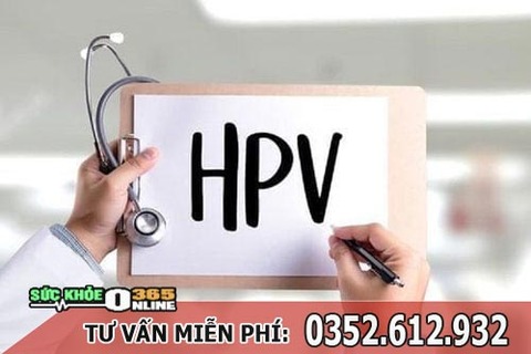 kham-benh-sui-mao-ga-o-dau-tot