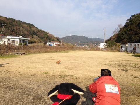 飛行犬撮影所 IMG_7138