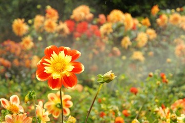 2014-08-21-20-47-12