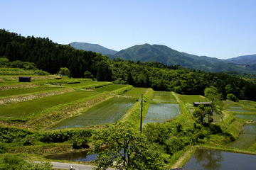 写真 2016-06-03 11 20 41