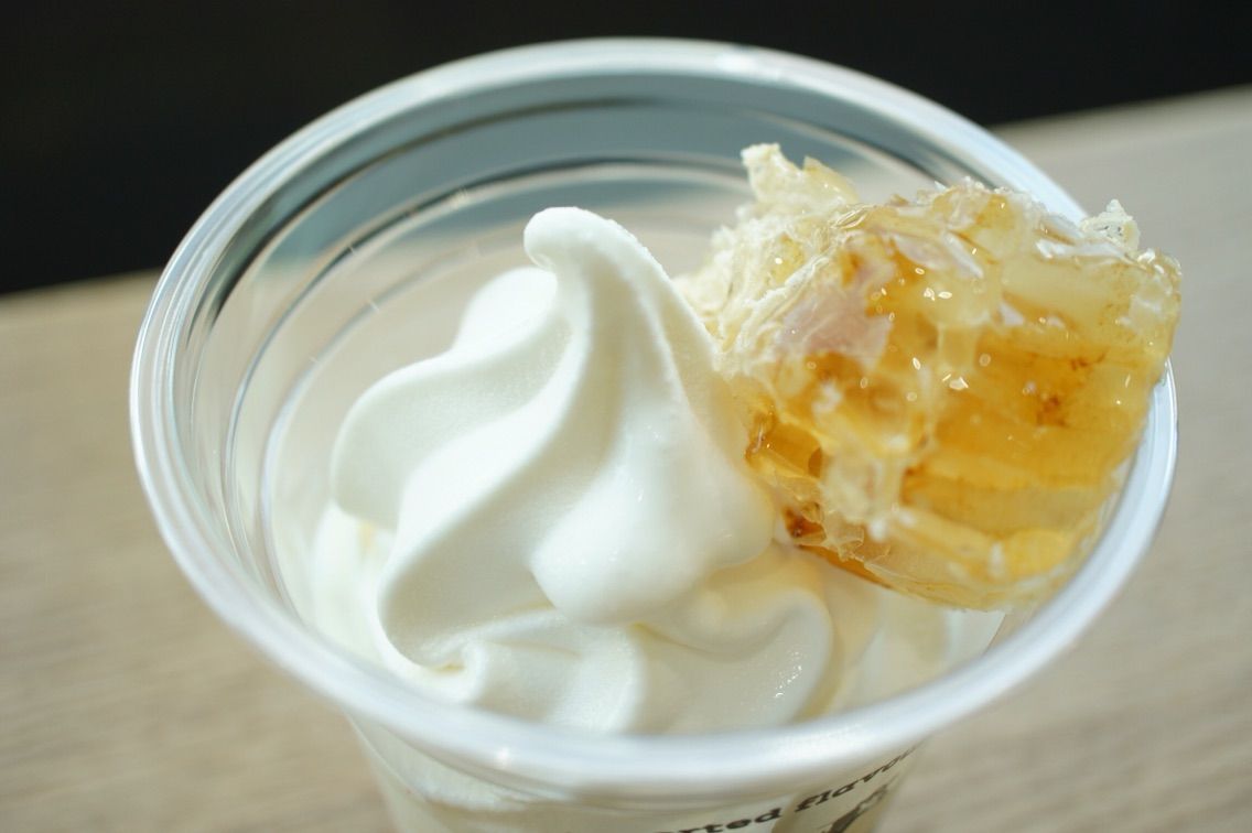 オープン15 ハニーコーム ソフトクリーム大好き Milkcow ミルクカウ 原宿店 ミーハーグルメ ごはんの時間なので帰ります オープン15 ハニーコーム ソフトクリーム大好き Milkcow ミルクカウ 原宿店 ミーハーグルメ ごはんの時間なので帰ります