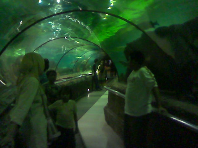 出るためのスタンプ インドネシアの新聞ねた ぶりた いんどねしあ