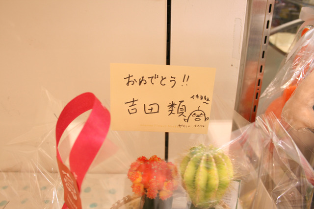 �ڸ�Ÿ�ۤ��礦���ԡ�����