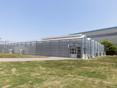 CIMG0279