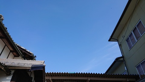DSC_1710