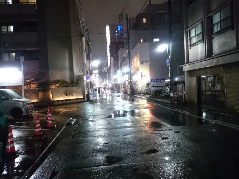 新潟 水の都は今日も雨 ガラハゲ日記 新潟 水の都は今日も雨 ガラハゲ日記