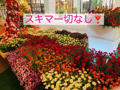 277854094_508751460904389_1105864913176171210_n