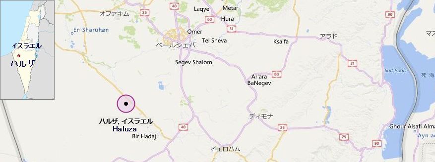 ハルザ イスラエル Renaissance