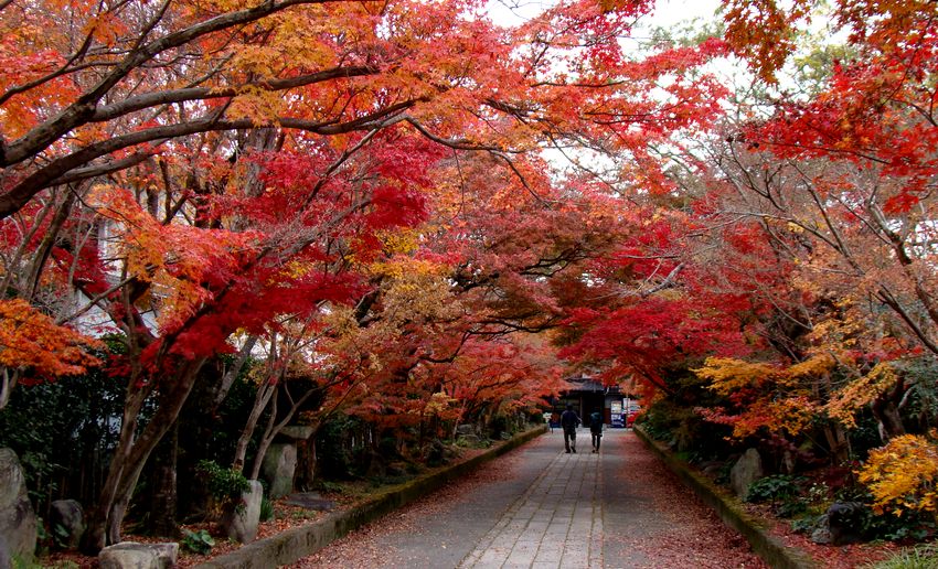 龍福寺 山口市 Renaissance