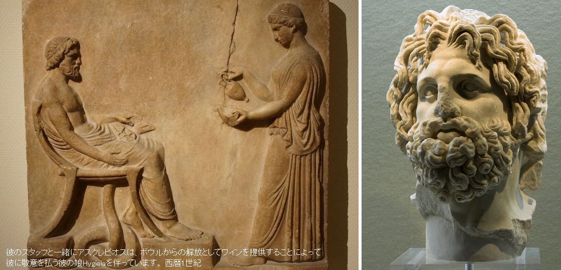アスクレーピオス Aesculapius Renaissance アスクレーピオス Aesculapius Renaissance