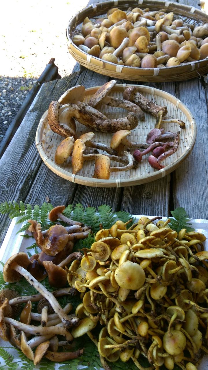 キナメツムタケ 出始めました 平谷村 料理 畔