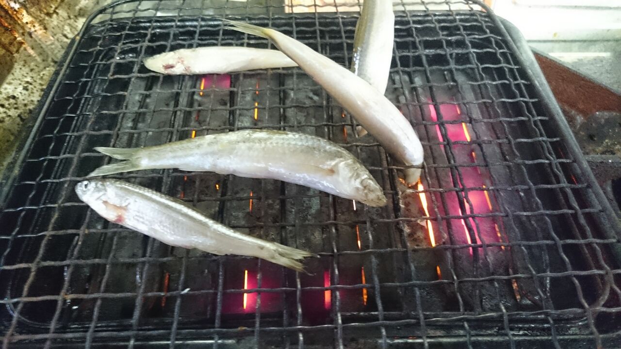 モロッコではない 平谷村 Cafe Sue Is Fine