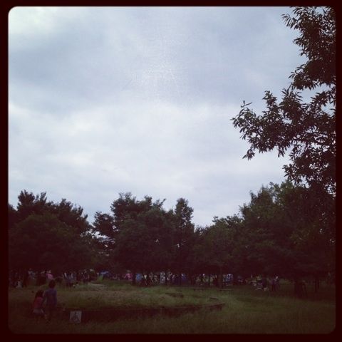 photo:01