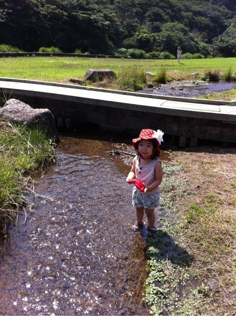 photo:02
