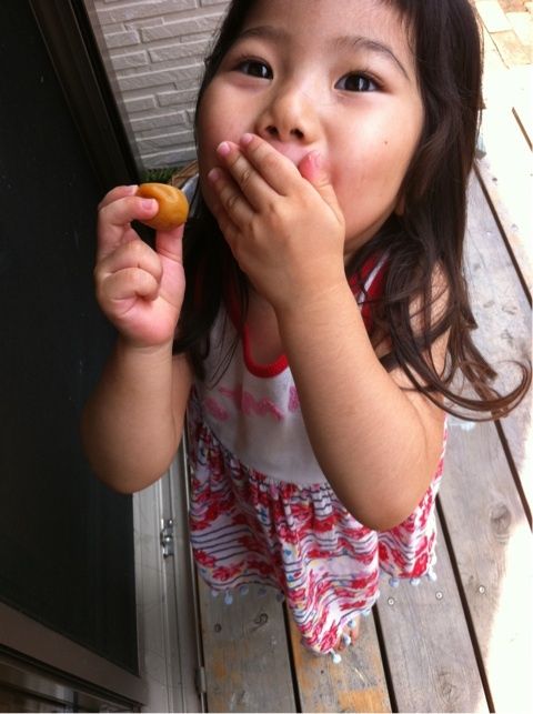 photo:03