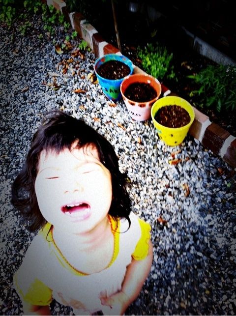 photo:04