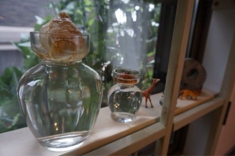 photo:06
