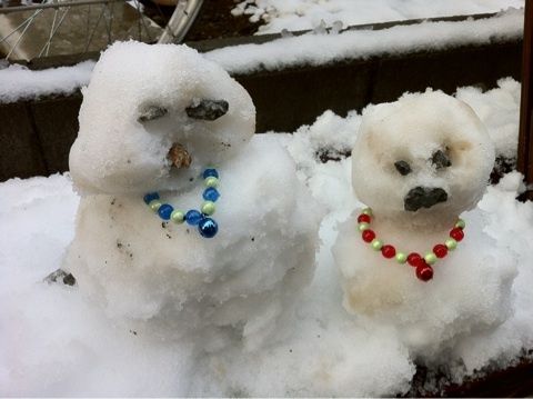 photo:06