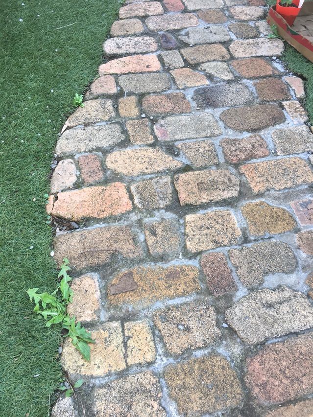 固まる防草砂で雑草対策 Diyで作る こどもと過ごすおうち時間