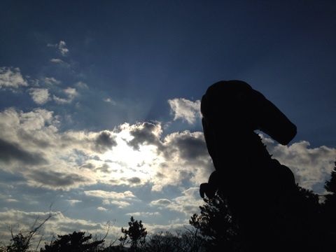 photo:03