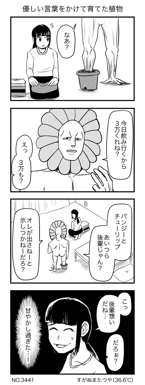優しい言葉をかけて育てた植物