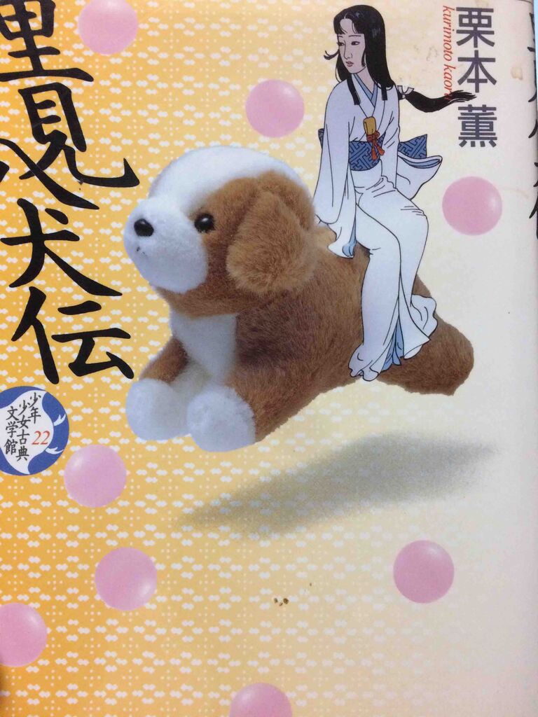南総里見八犬伝は 展開の速いハリウッド映画みたいということに驚いたって話 学習村の 国公立へ行こう