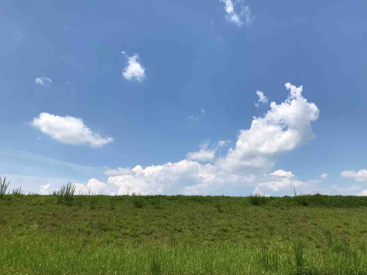 夏休み特集 中学生向け 夏休みにおすすめの教材を1冊あげるとすると 学習村の 国公立へ行こう