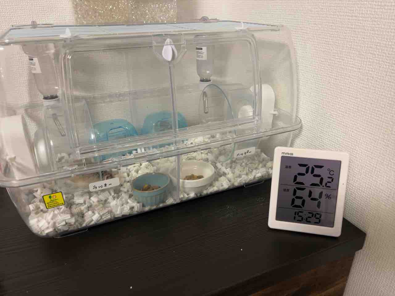 ルーミィ 60 ベーシック おまけ→給水器、お皿、回し車、セパレートパネル付 000000003636_29RAe0a.jpg