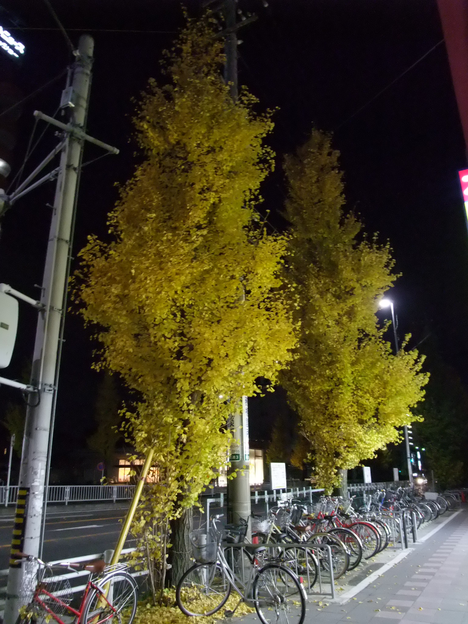 壱 百 八lost livedoor Blog（ブログ）