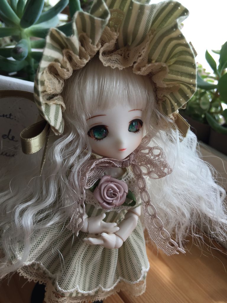 あまむす スノーエルダー お迎えしました Robaのdoll日記 あまむす スノーエルダー お迎えしました Robaのdoll日記