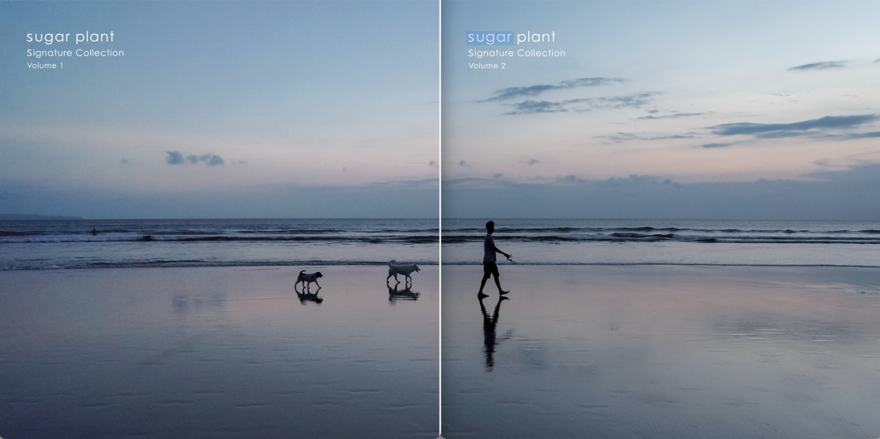 IMG_SugnatureCollection