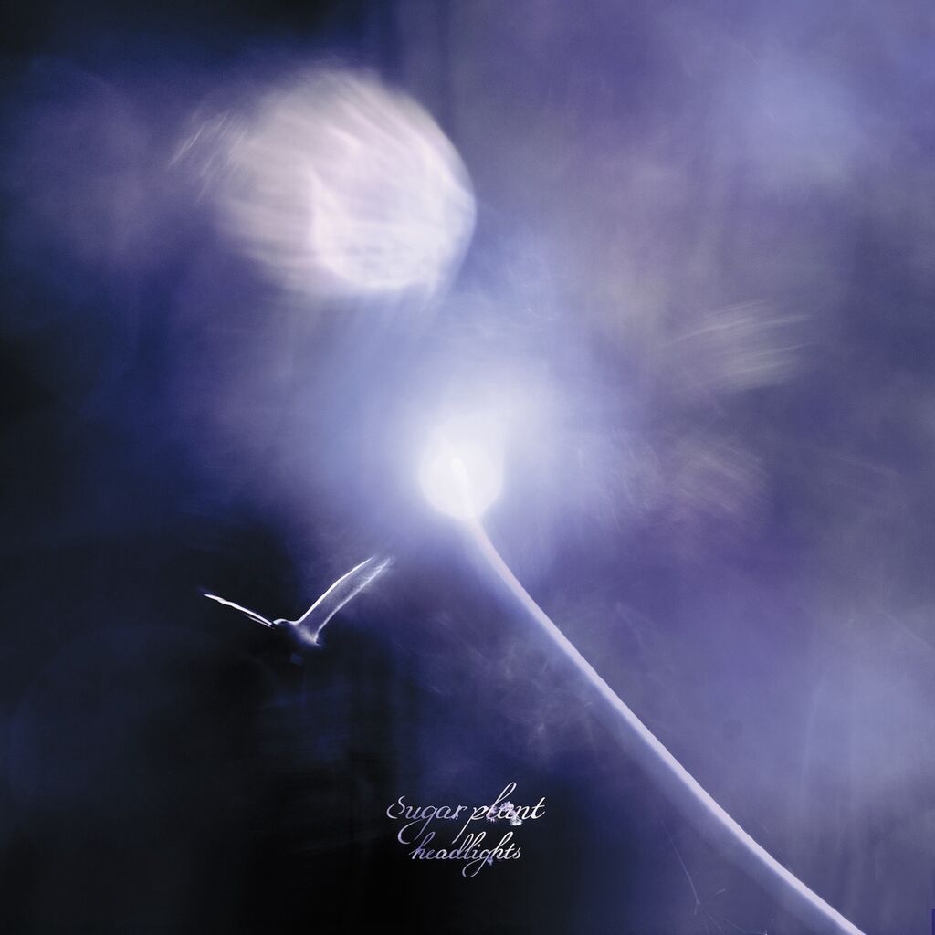 headlights_cover