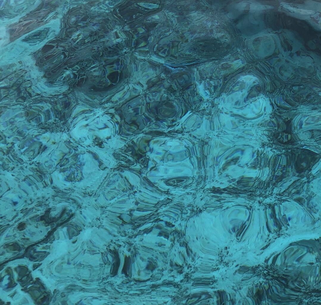 sugar plant bandcamp