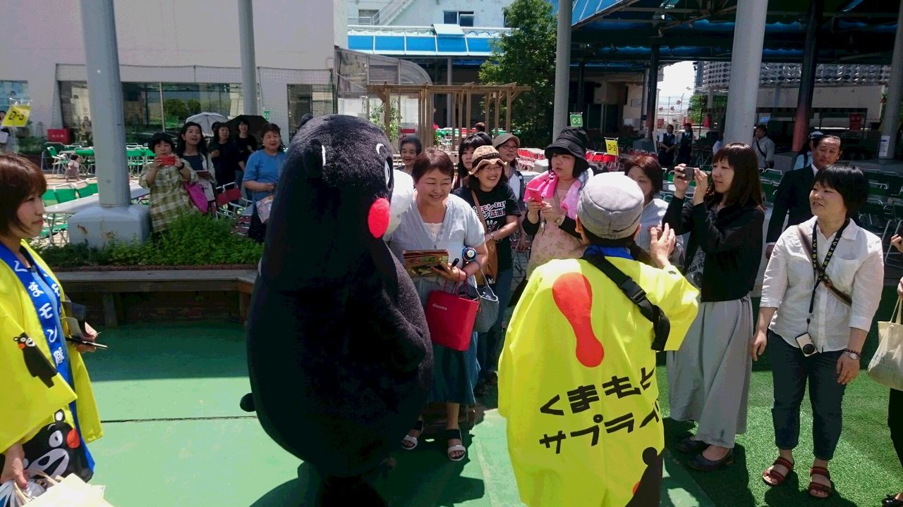 イメージ 5