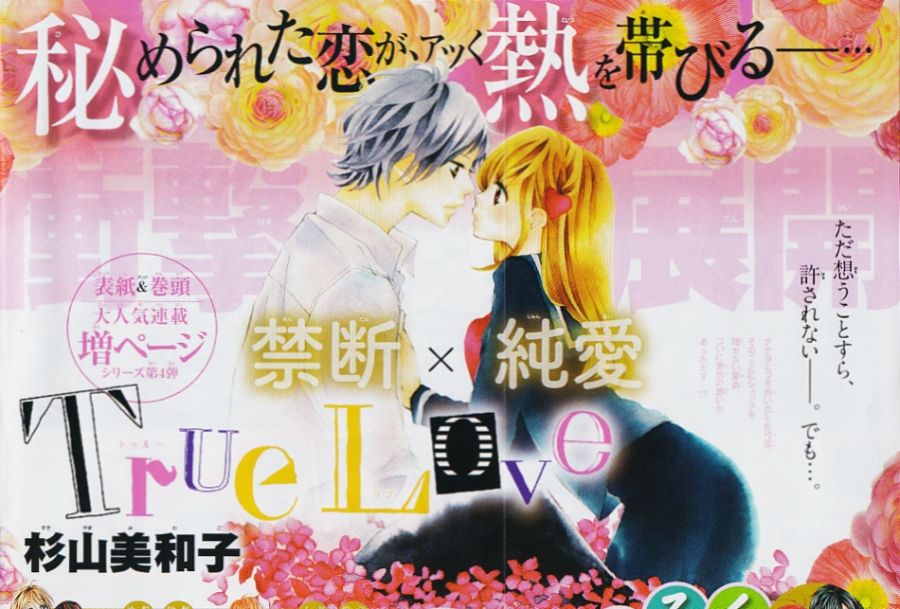 True Love 第13話 杉山美和子のマンガ家ライフ True Love 第13話 杉山美和子のマンガ家ライフ