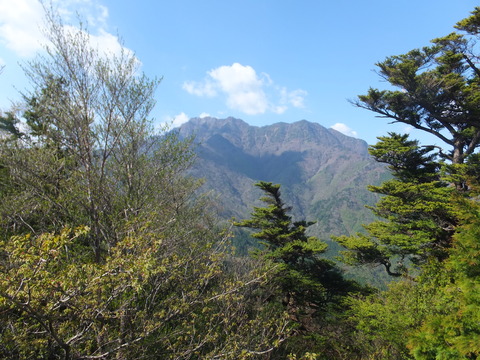 DSCF2832