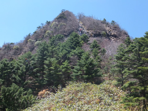 DSCF2866