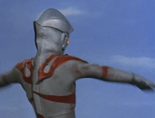 メタリウム光線 バーチカルギロチン すぎぼんの日記