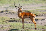 DSCF0594