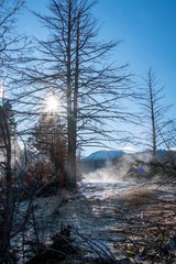 DSCF0347