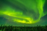 DSCF2221