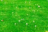 DSCF1003