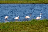 DSCF0328