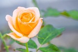 DSCF0028