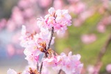 DSCF0973