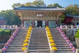 釜山(12)